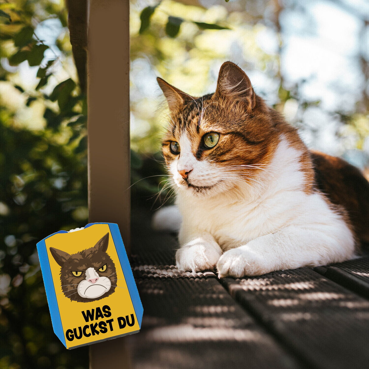 Was guckst du Parkscheibe mit grimmiger Katze