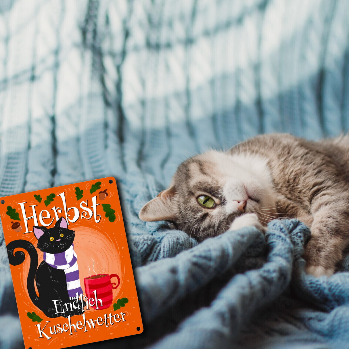 Herbst - Endlich Kuschelwetter Metallschild mit schwarzer Katze