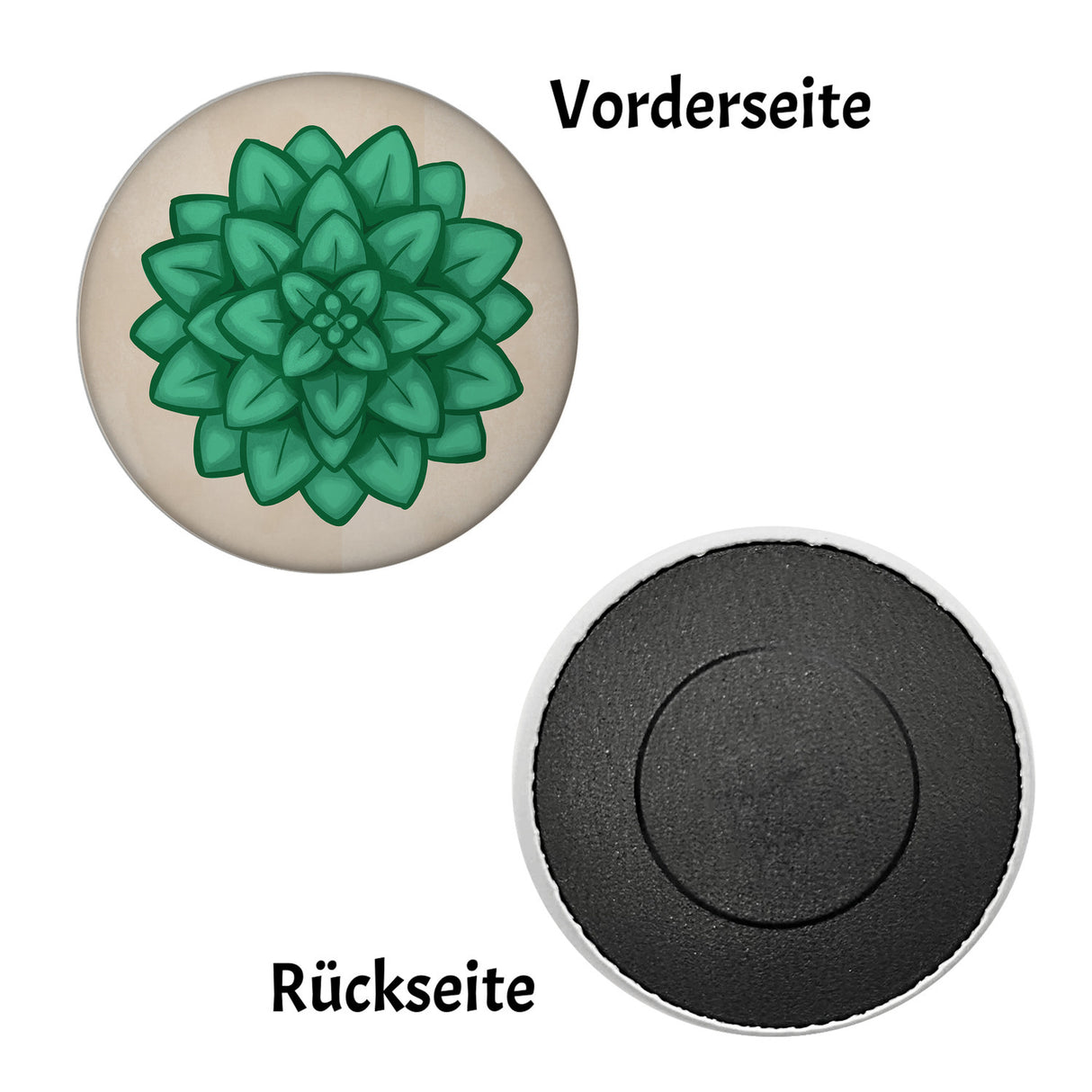 Sukkulente Kühlschrankmagnet mit schöner Pflanze