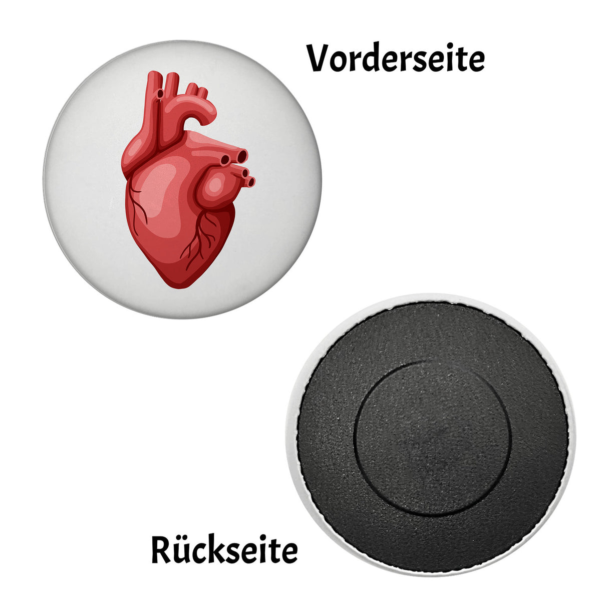Herzmuskel Kühlschrankmagnet