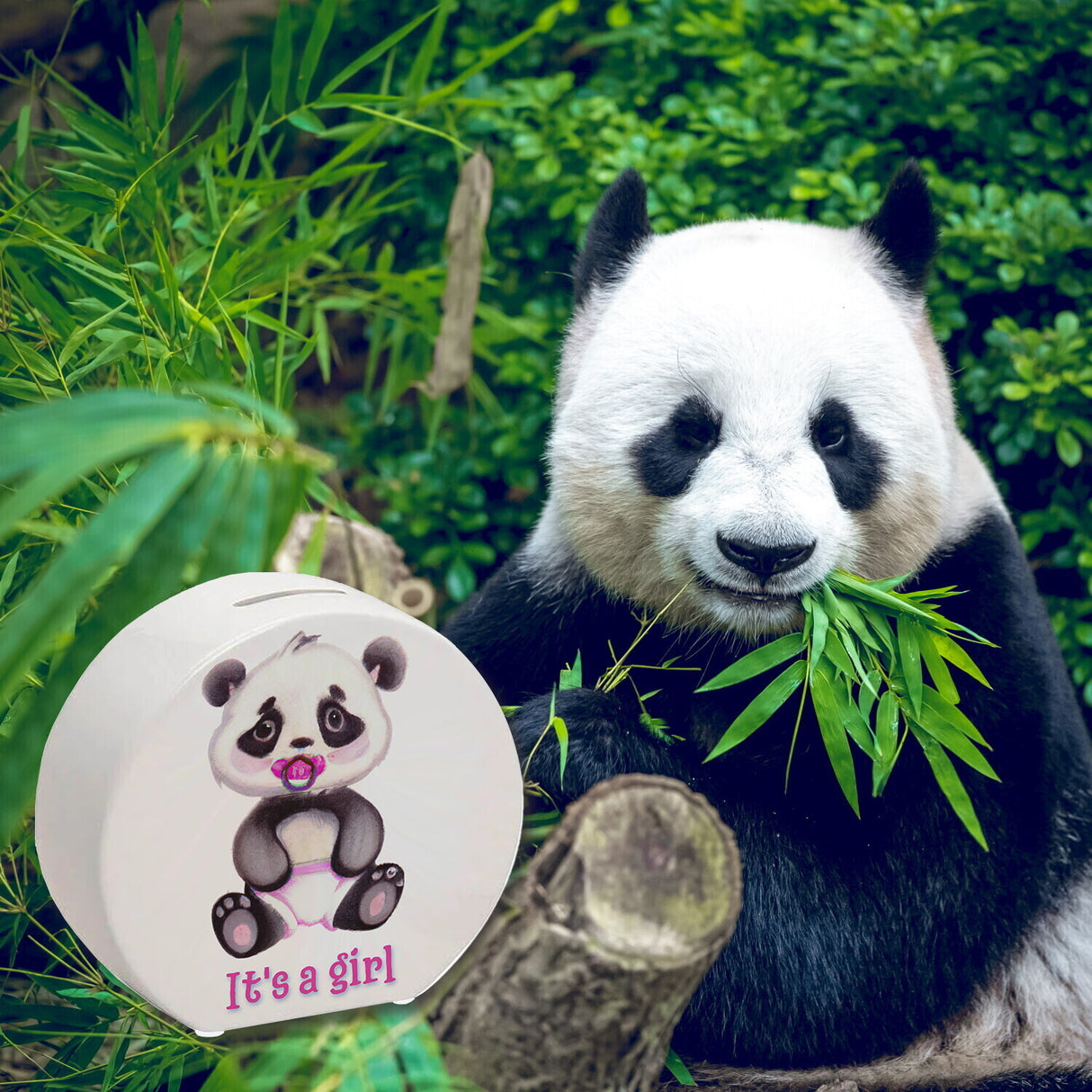It's a girl Baby Panda Spardose in rosa