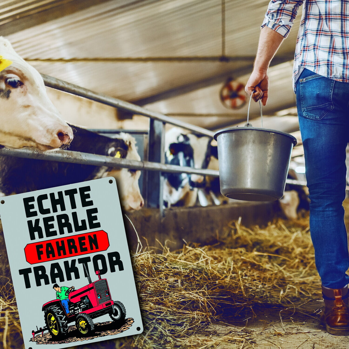 Echte Kerle fahren Traktor Metallschild