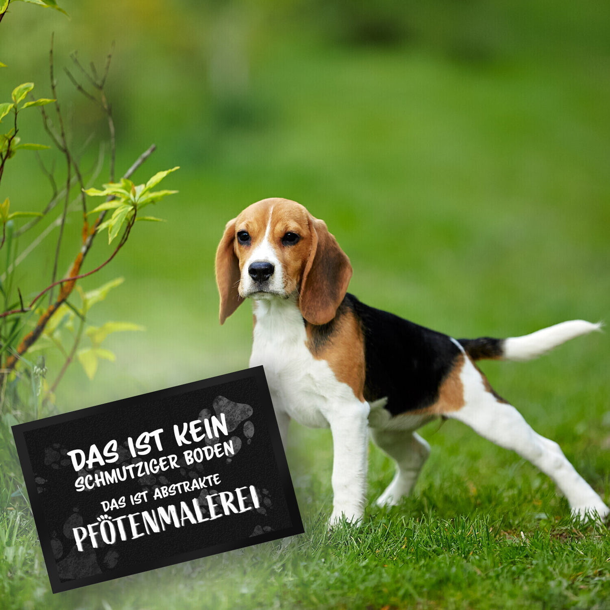 Kein Schmutz, sondern Pfotenmalerei Hunde Fußmatte mit Schrift
