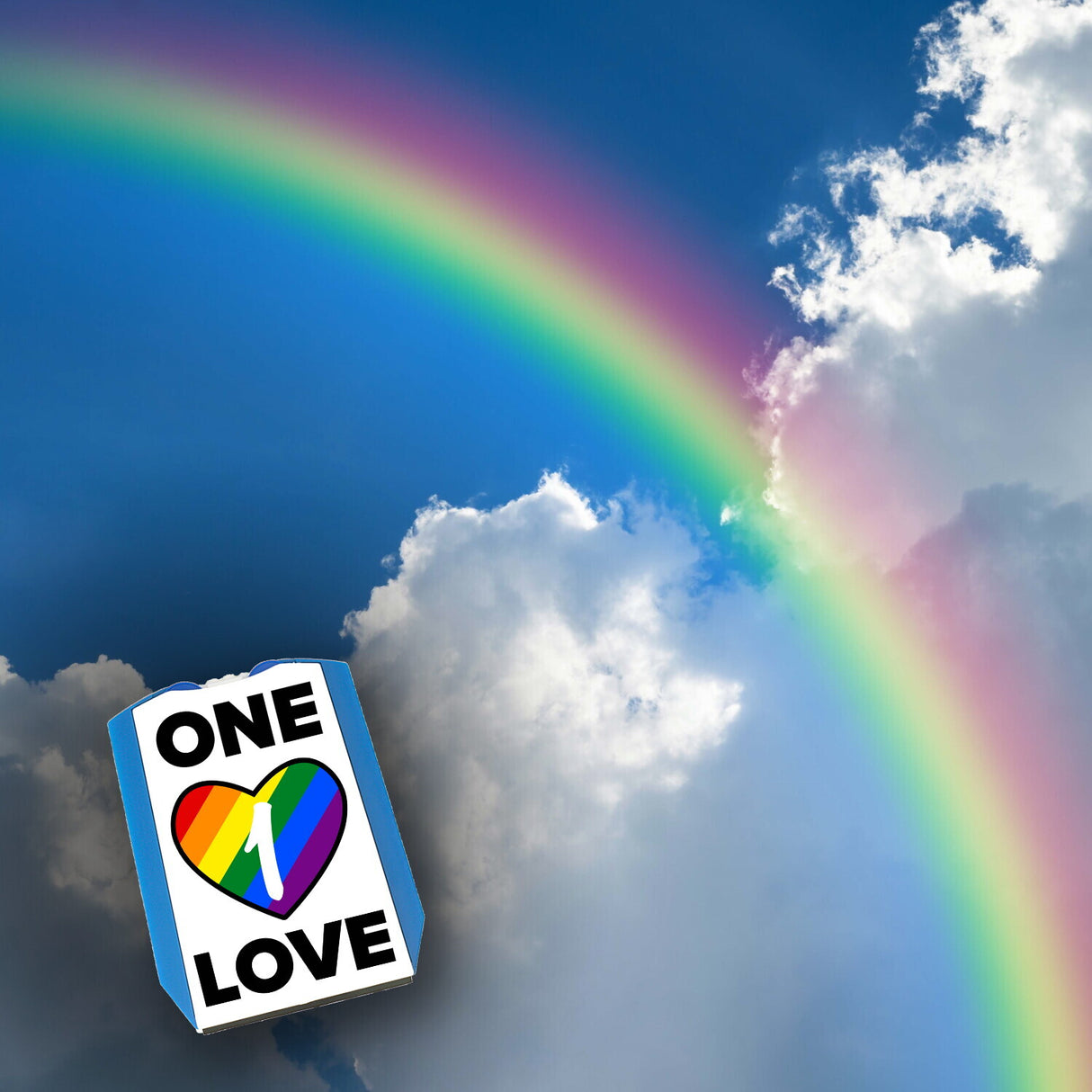 One Love Regenbogen Parkscheibe mit 2 Einkaufswagenchips