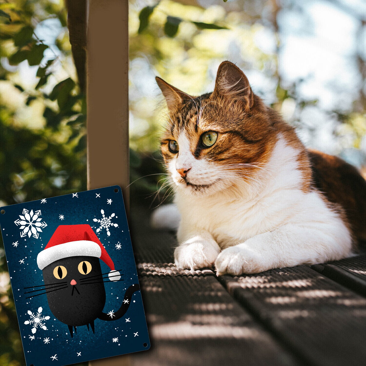 Katze mit Nikolausmütze Metallschild