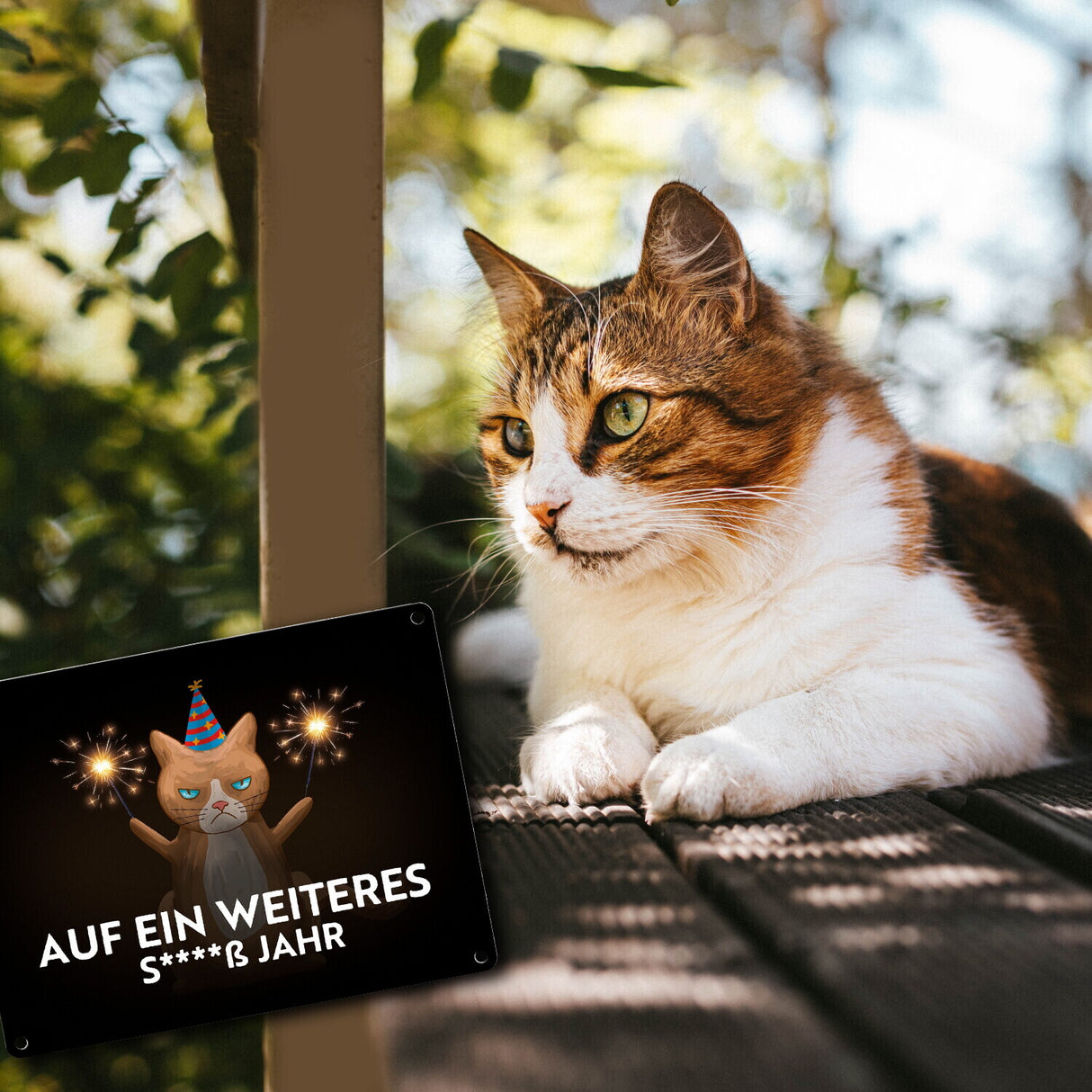 Mürrische Katze auf ein weiters s****ß Jahr Metallschild