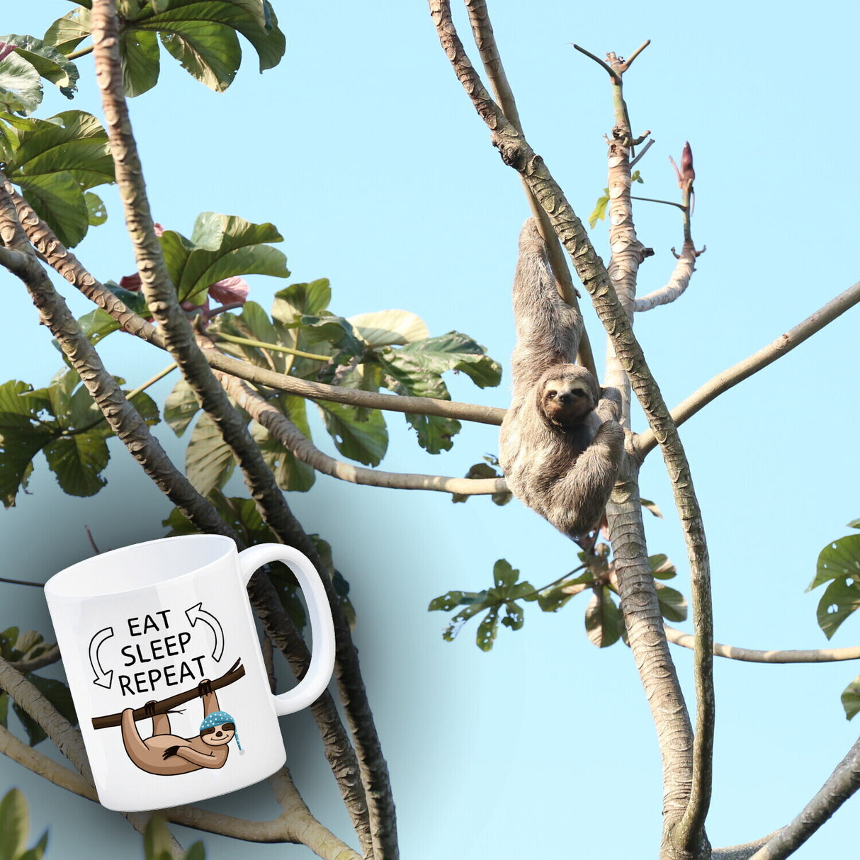 Eat sleep repeat Faultier Kaffeebecher