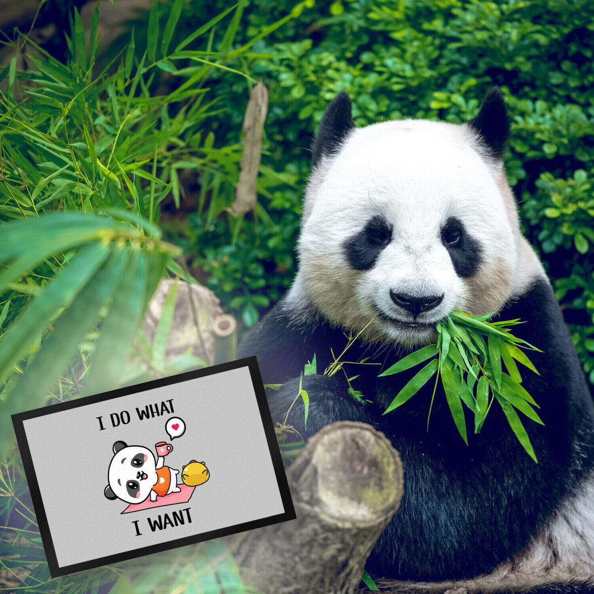 I do what I want Panda Fußmatte in 35x50 cm