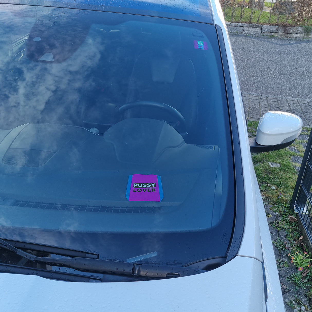 Pussy Lover Parkscheibe mit 2 Einkaufswagenchips