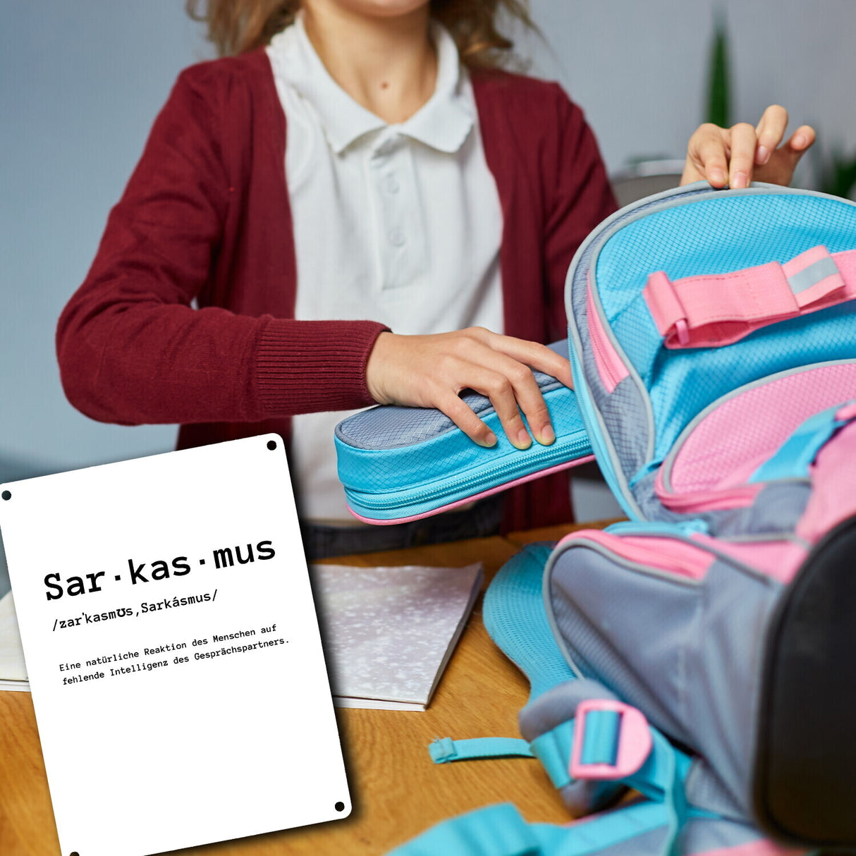 Sarkasmus Definiton Metallschild in 15x20 cm mit Spruch