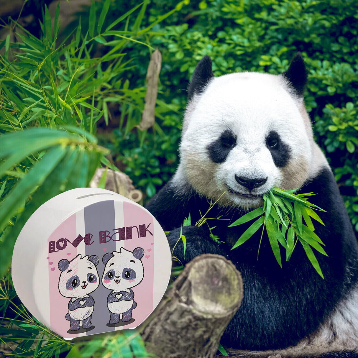 Panda Spardose mit Spruch Love Bank