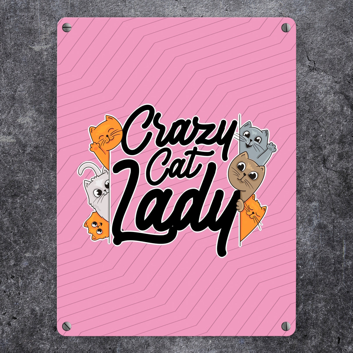 Katzen Metallschild in 15x20 cm Crazy Cat Lady für Katzenliebhaber