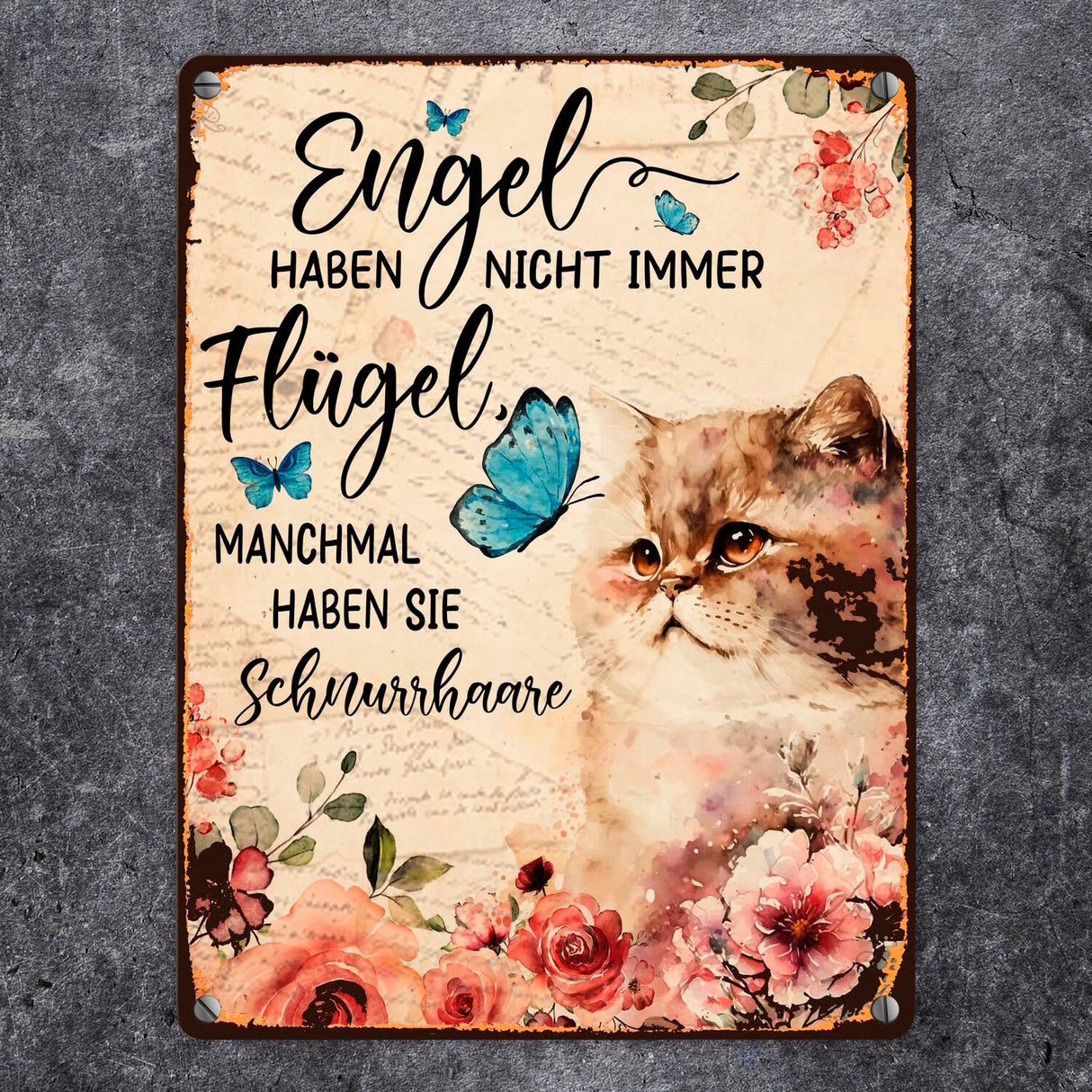 Katzen sind Engel Metallschild in 15x20 cm mit Spruch für Katzenbesitzer