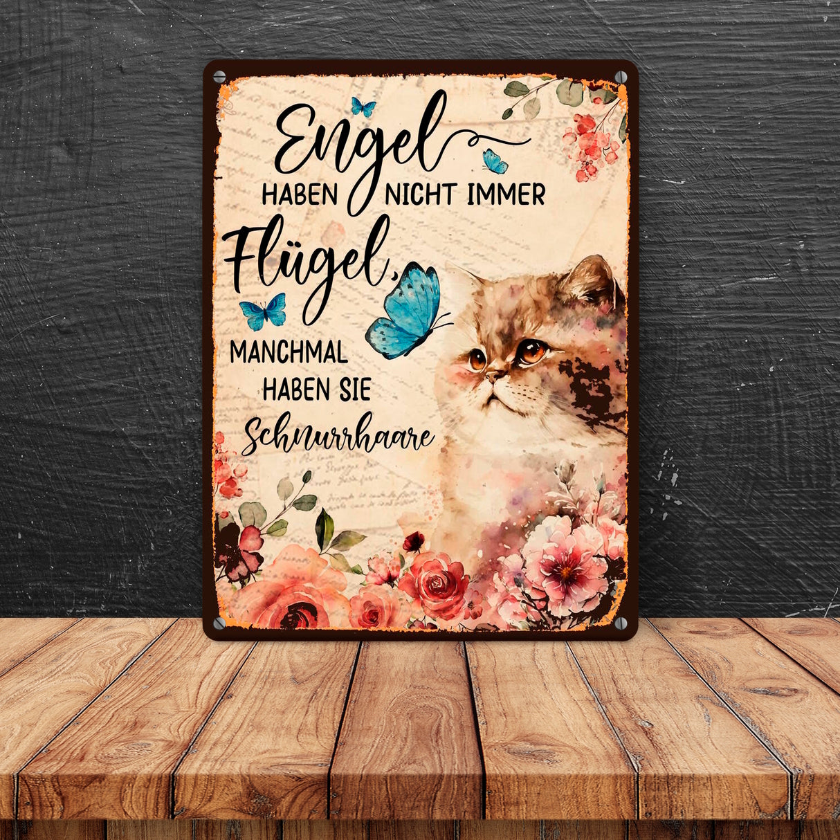 Katzen sind Engel Metallschild in 15x20 cm mit Spruch für Katzenbesitzer