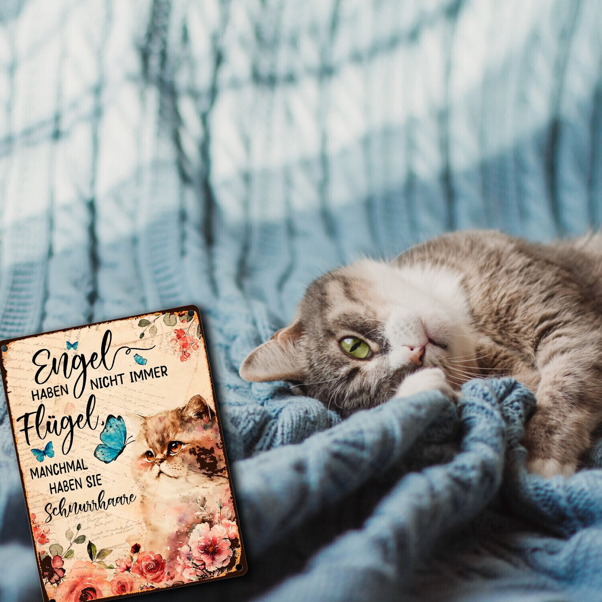 Katzen sind Engel Metallschild in 15x20 cm mit Spruch für Katzenbesitzer
