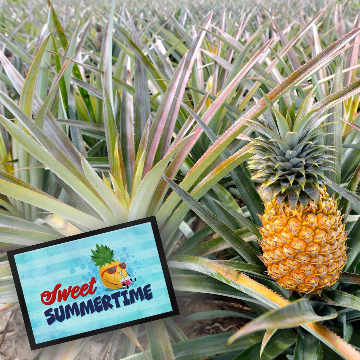 Sweet summertime Fußmatte mit süßer Ananas