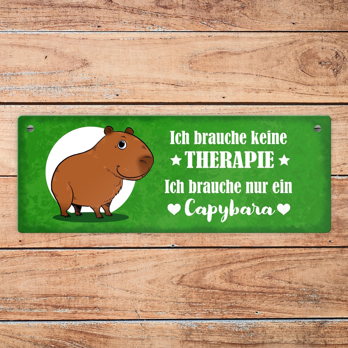 Keine Therapie – ich brauche nur ein Capybara Metallschild