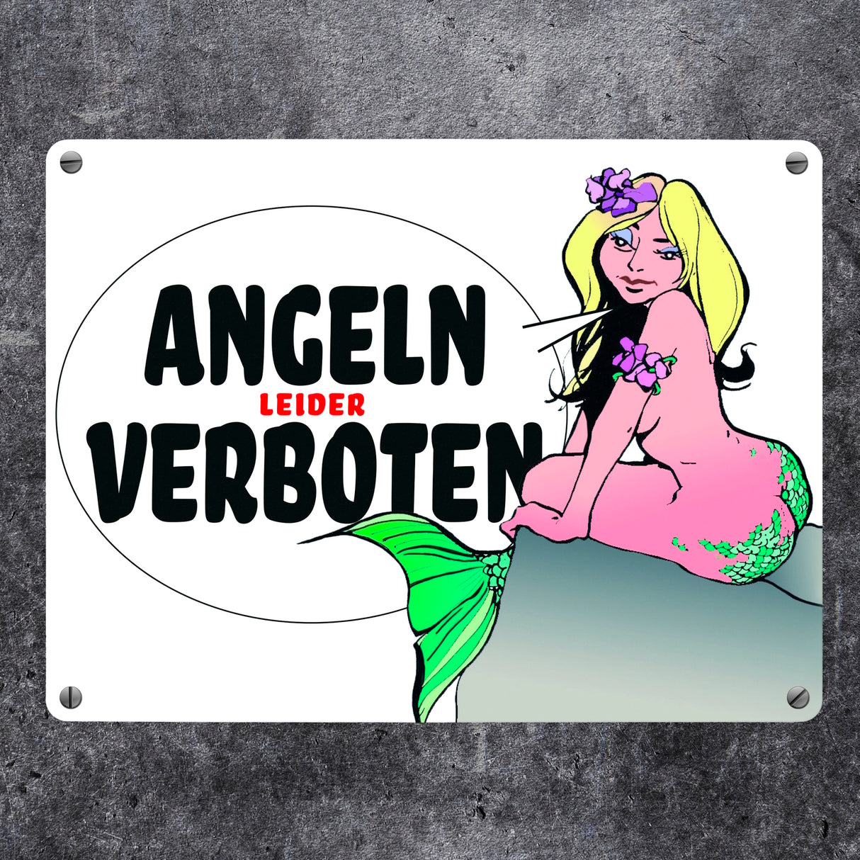 Angeln leider verboten Metallschild