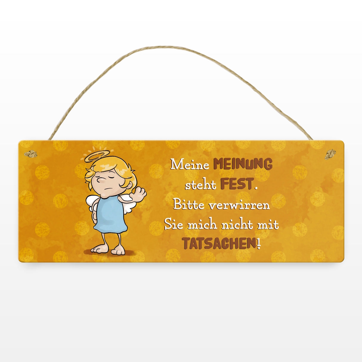 Engel Metallschild mit Spruch - Verwirre mich nicht mit Tatsachen in meiner Meinung