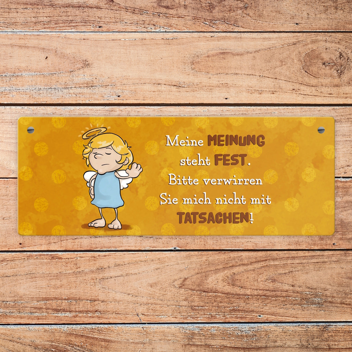 Engel Metallschild mit Spruch - Verwirre mich nicht mit Tatsachen in meiner Meinung