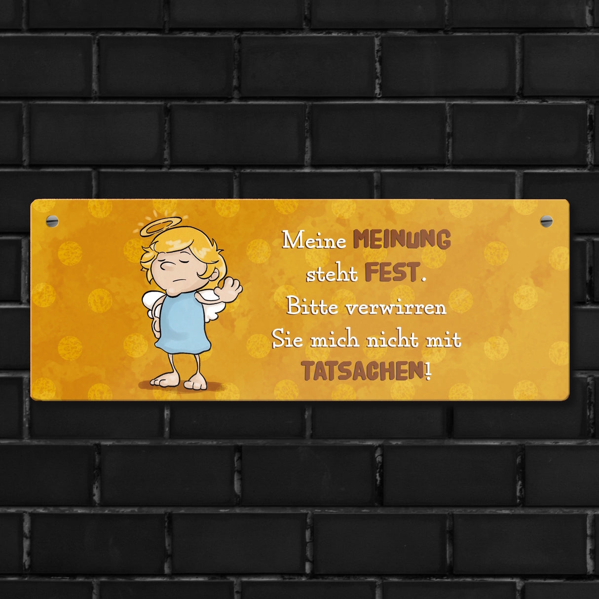 Engel Metallschild mit Spruch - Verwirre mich nicht mit Tatsachen in meiner Meinung