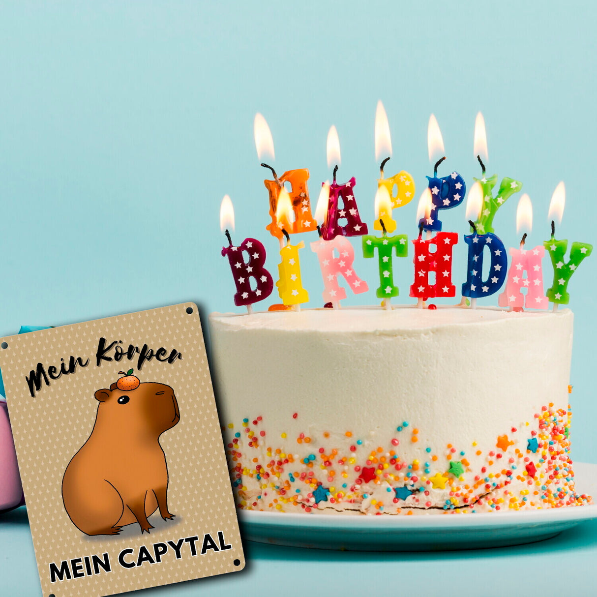 Mein Körper mein Capytal Metallschild in 15x20 cm mit niedlichem Capybara