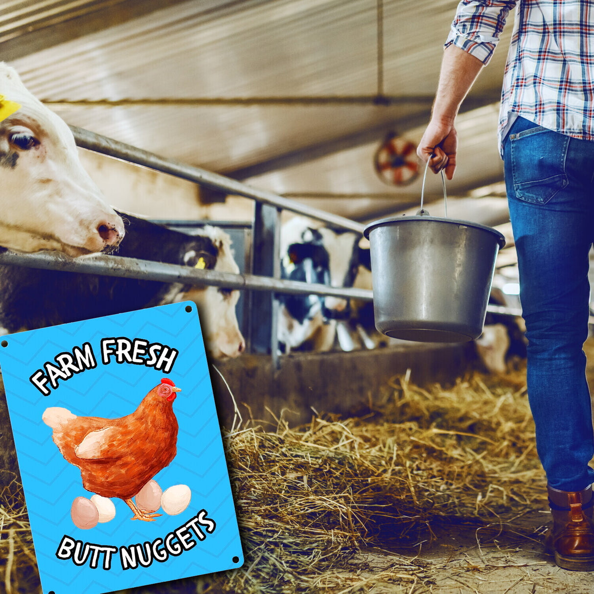 Huhn Metallschild in 15x20 cm mit Spruch Farm fresh Butt Nuggets