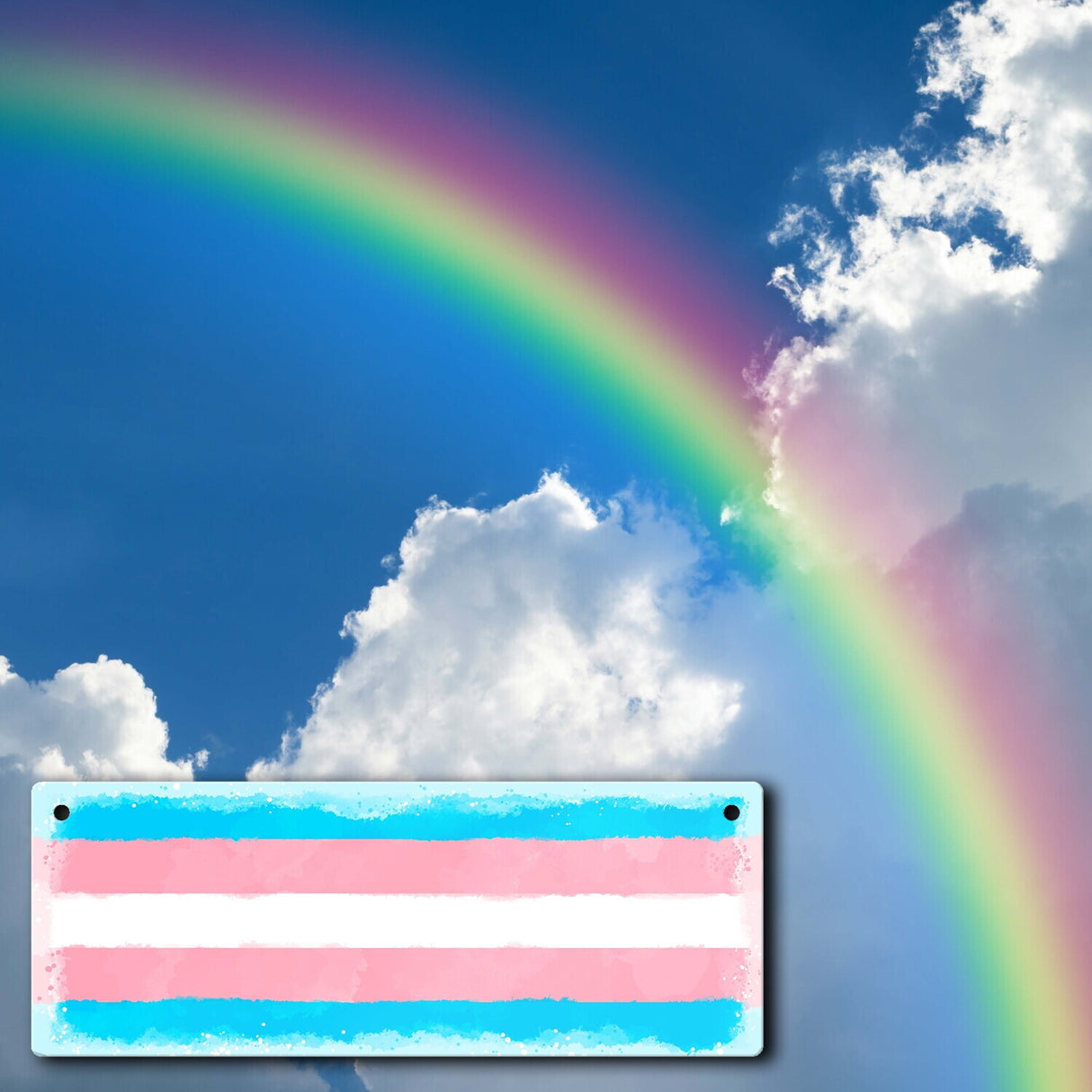 Pride-Flagge Transgender Metallschild