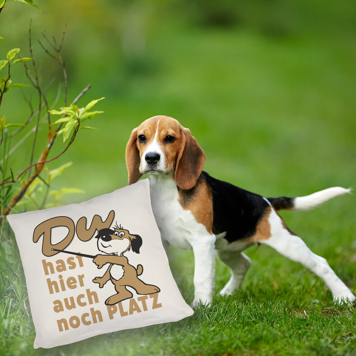 Du hast hier auch noch Platz Kissen mit freundlichem Hund