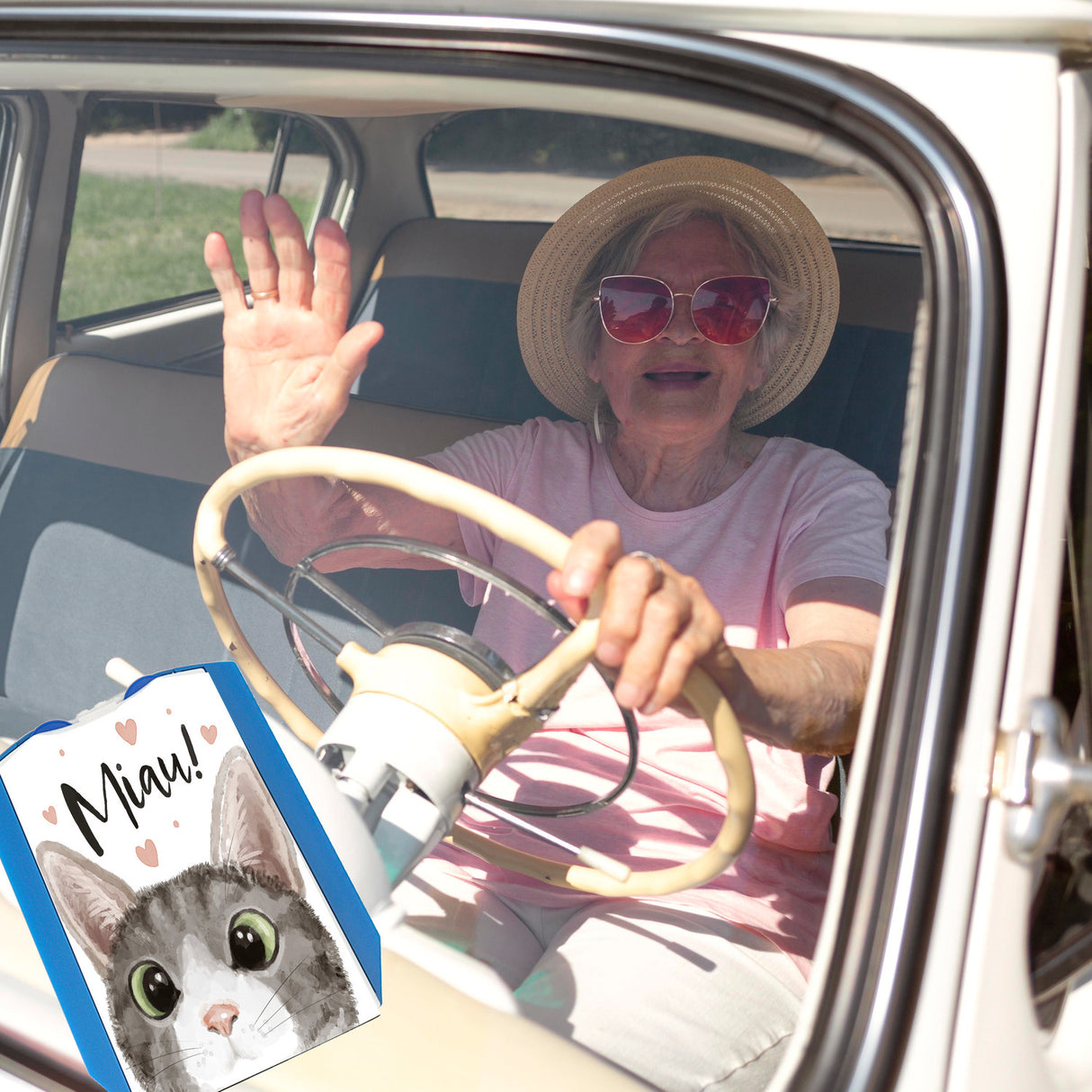 Miau Katze Parkscheibe
