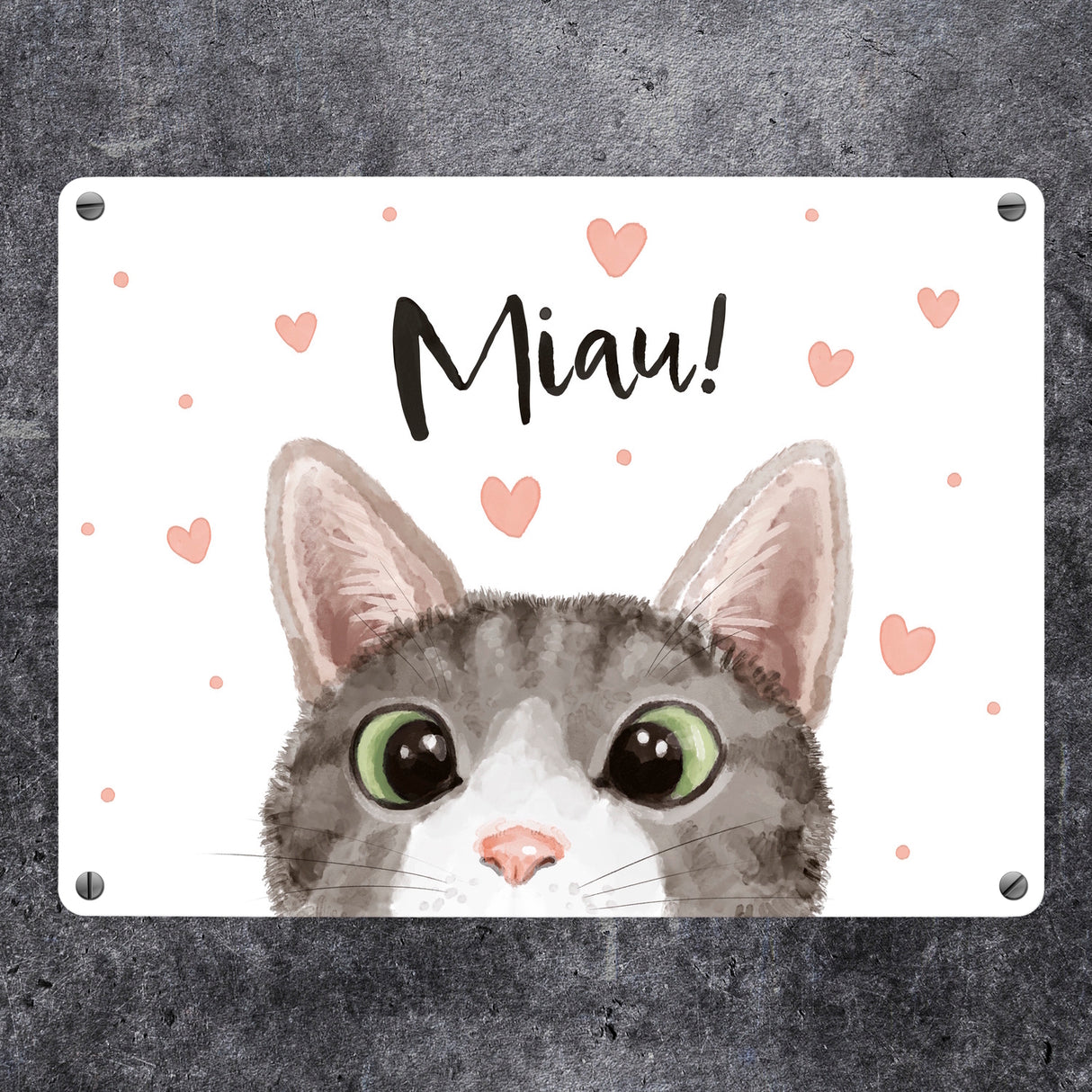 Miau Katze Metallschild in 15x20 cm