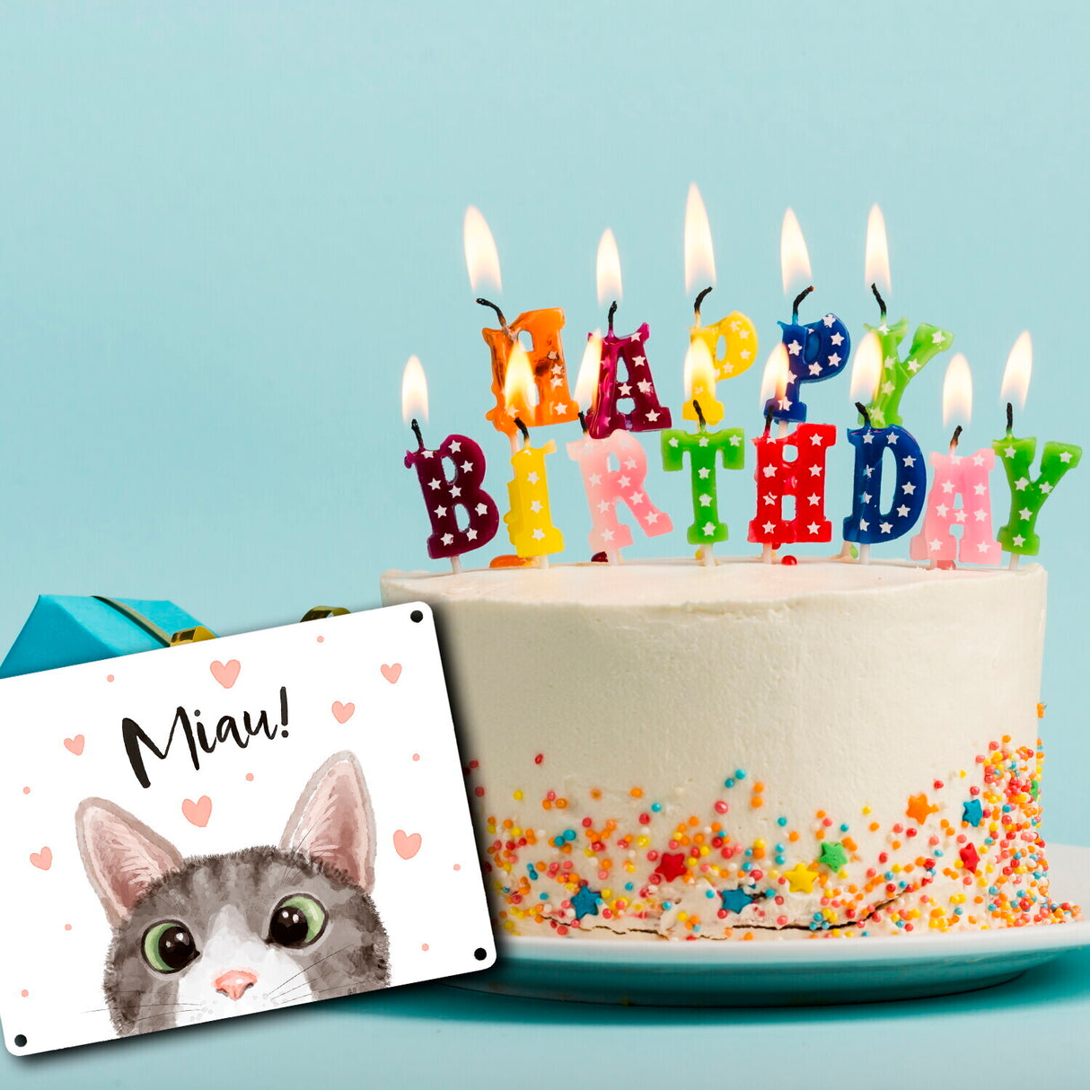Miau Katze Metallschild in 15x20 cm