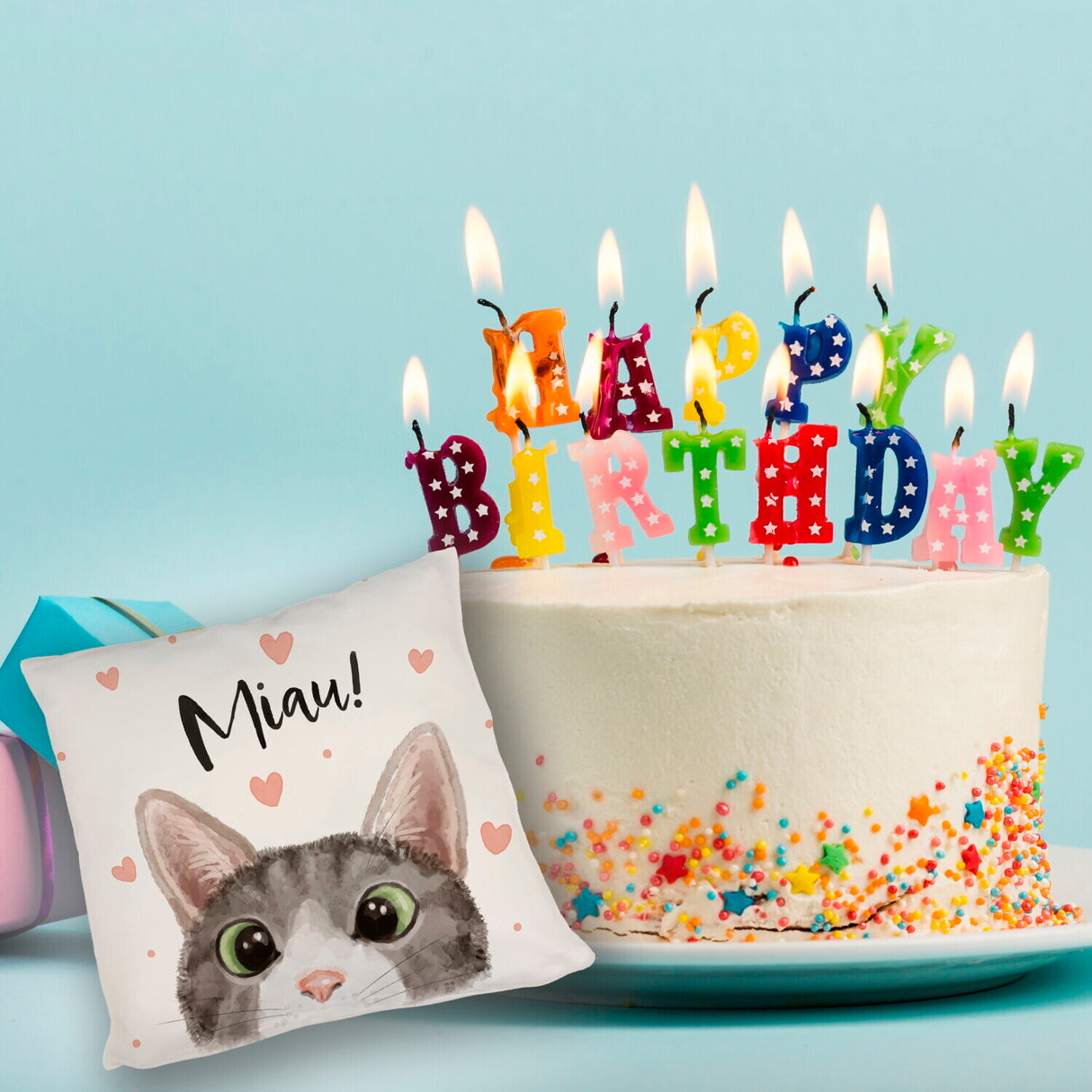 Miau Katze Kissen