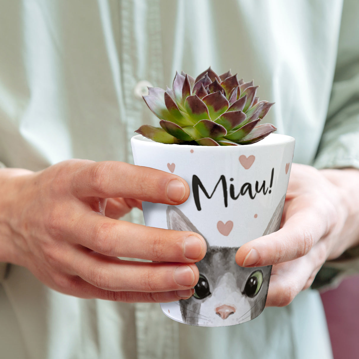 Miau Katze Blumentopf
