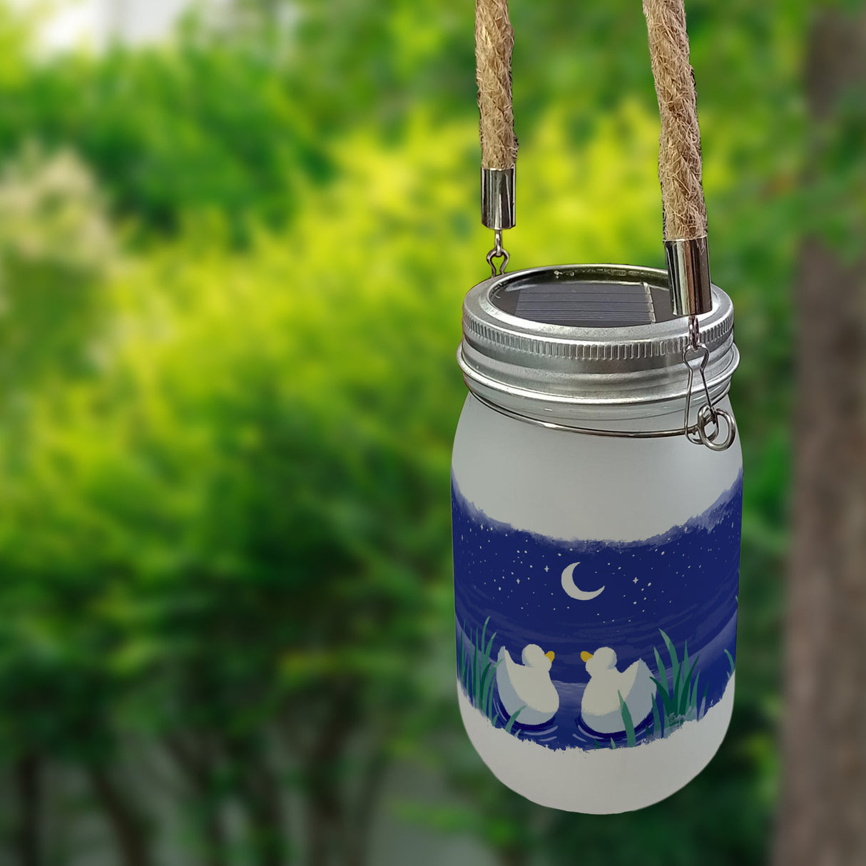 Enten Pärchen im Mondschein bei Nacht Solarlicht