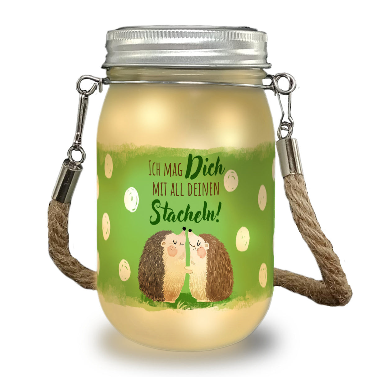 Igel Pärchen Solarlicht mit Spruch Ich mag dich mit all deinen Stacheln