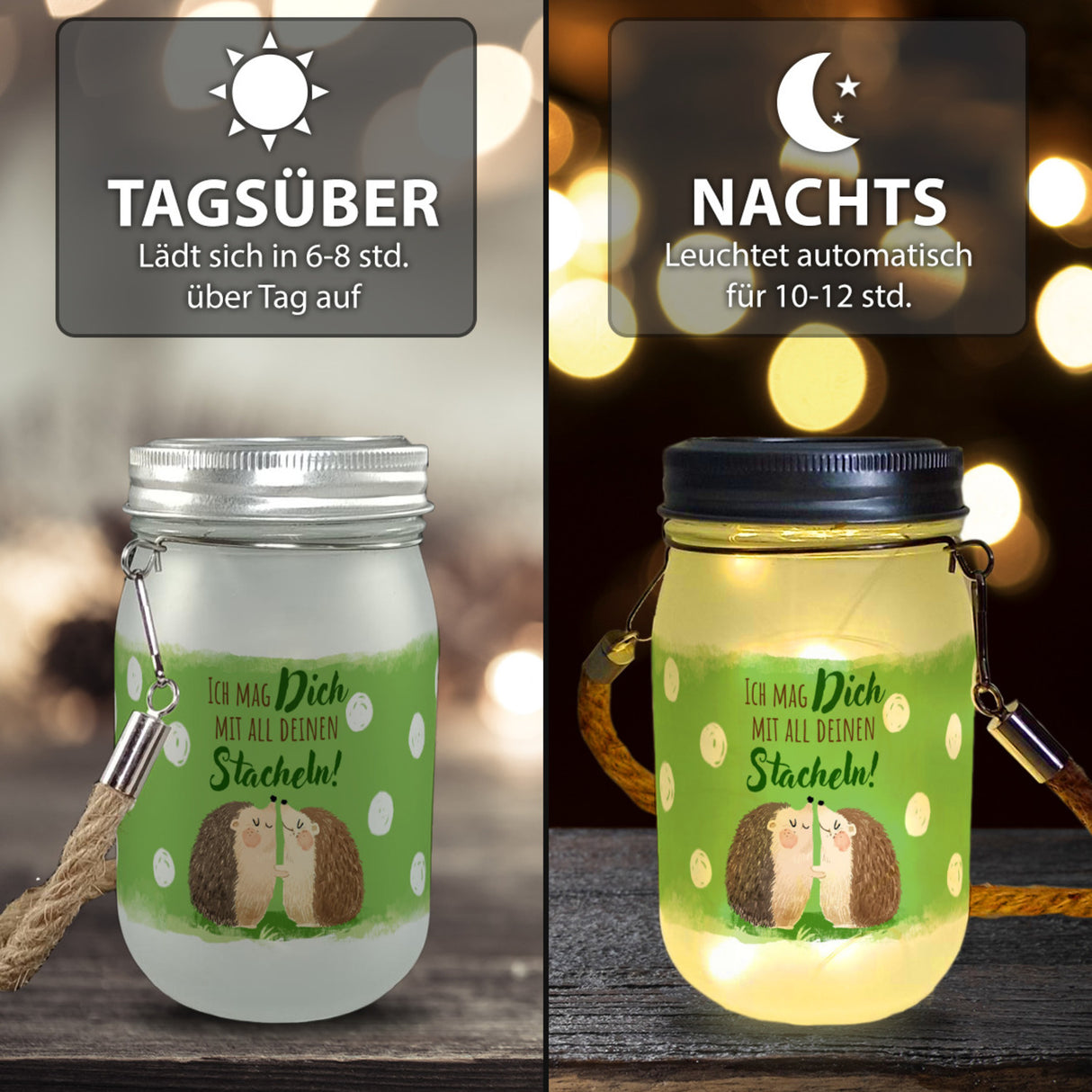 Igel Pärchen Solarlicht mit Spruch Ich mag dich mit all deinen Stacheln