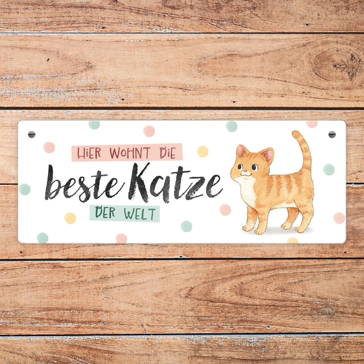 Beste Katze der Welt Metallschild mit oranger Katze und Spruch