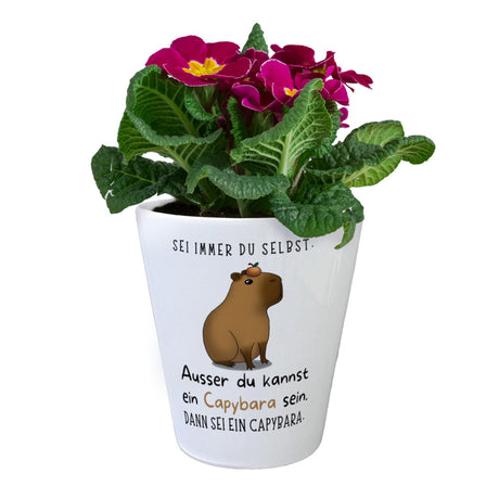 Sei immer du selbst - ausser du kannst ein Capybara sein Blumentopf