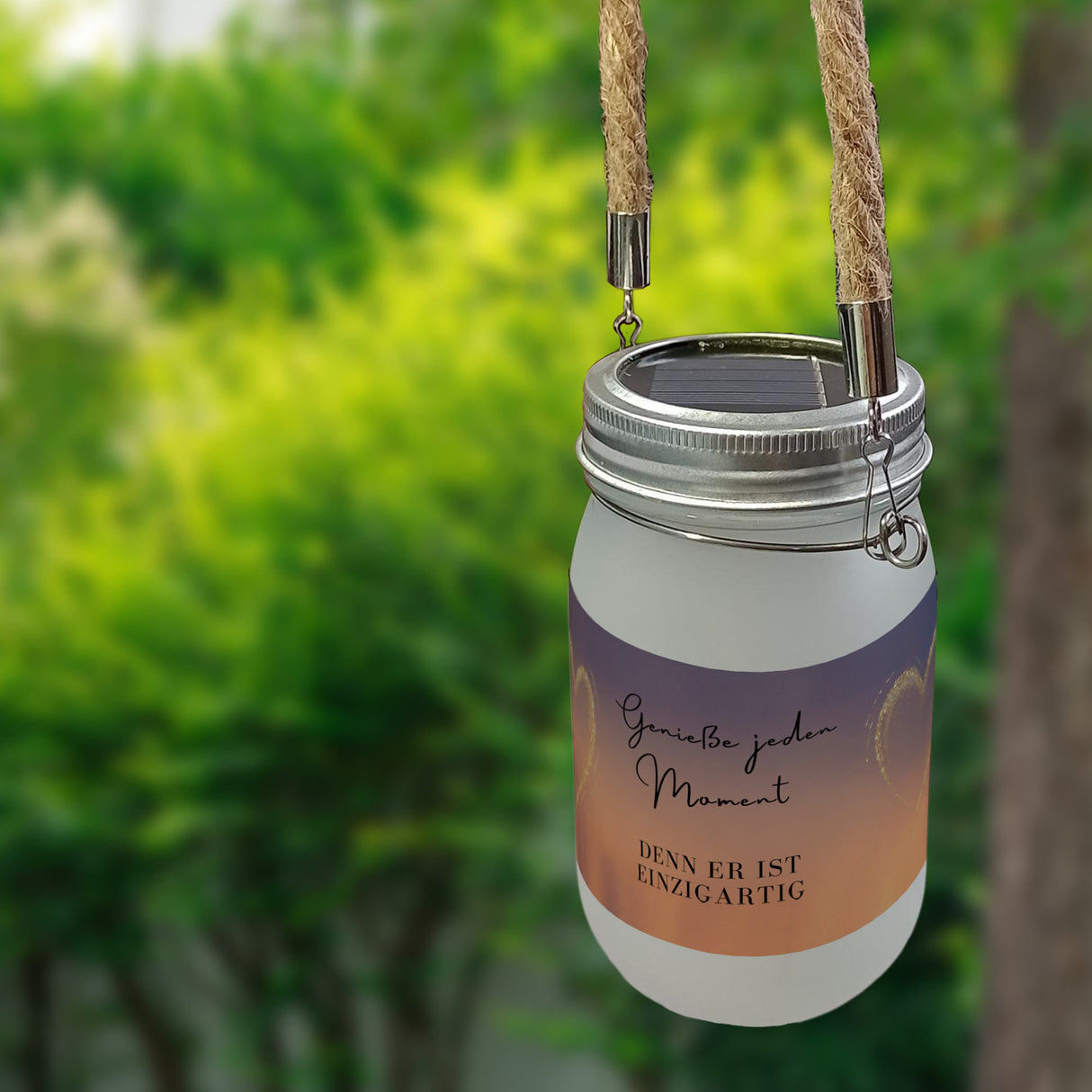 Genieße jeden Moment Solarlicht Denn er ist einzigartig