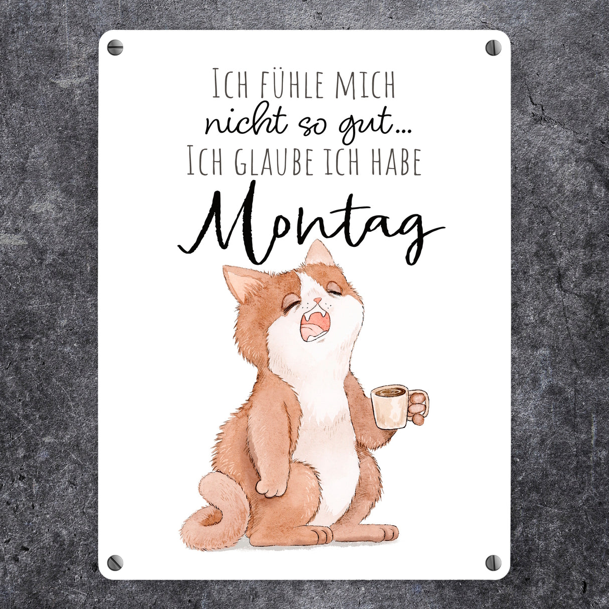 Katze Metallschild in 15x20 cm mit Spruch Montags fühle ich mich schlecht