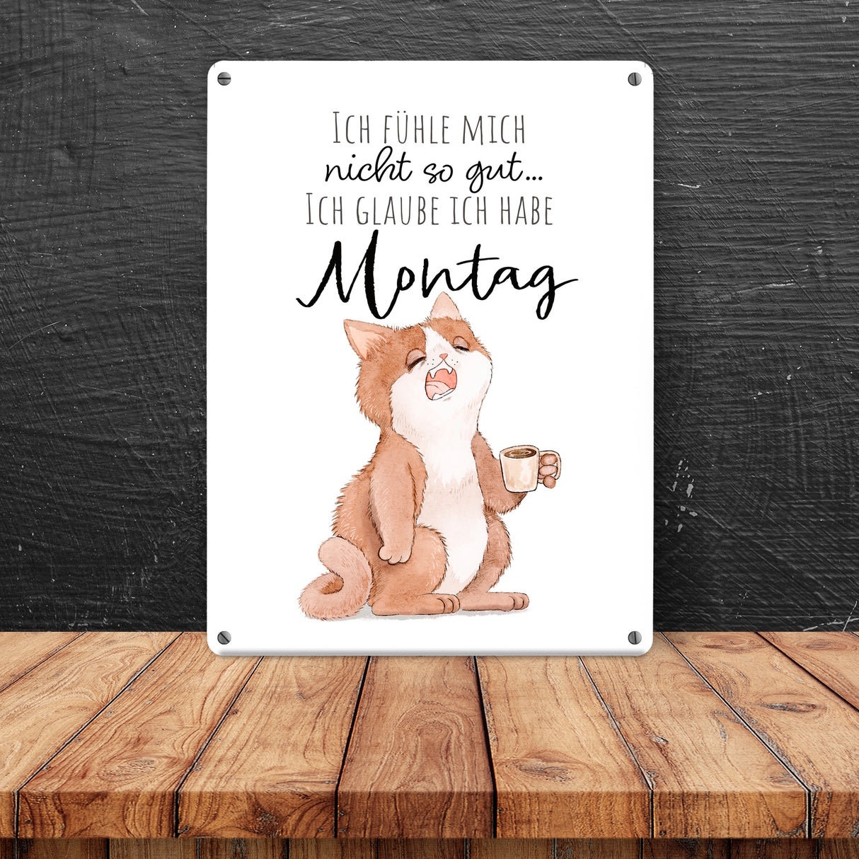 Katze Metallschild in 15x20 cm mit Spruch Montags fühle ich mich schlecht