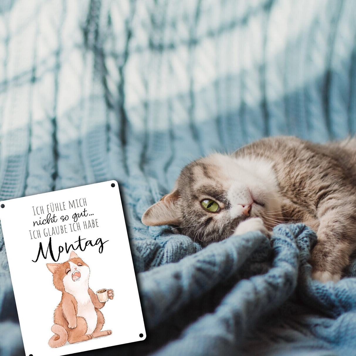 Katze Metallschild in 15x20 cm mit Spruch Montags fühle ich mich schlecht