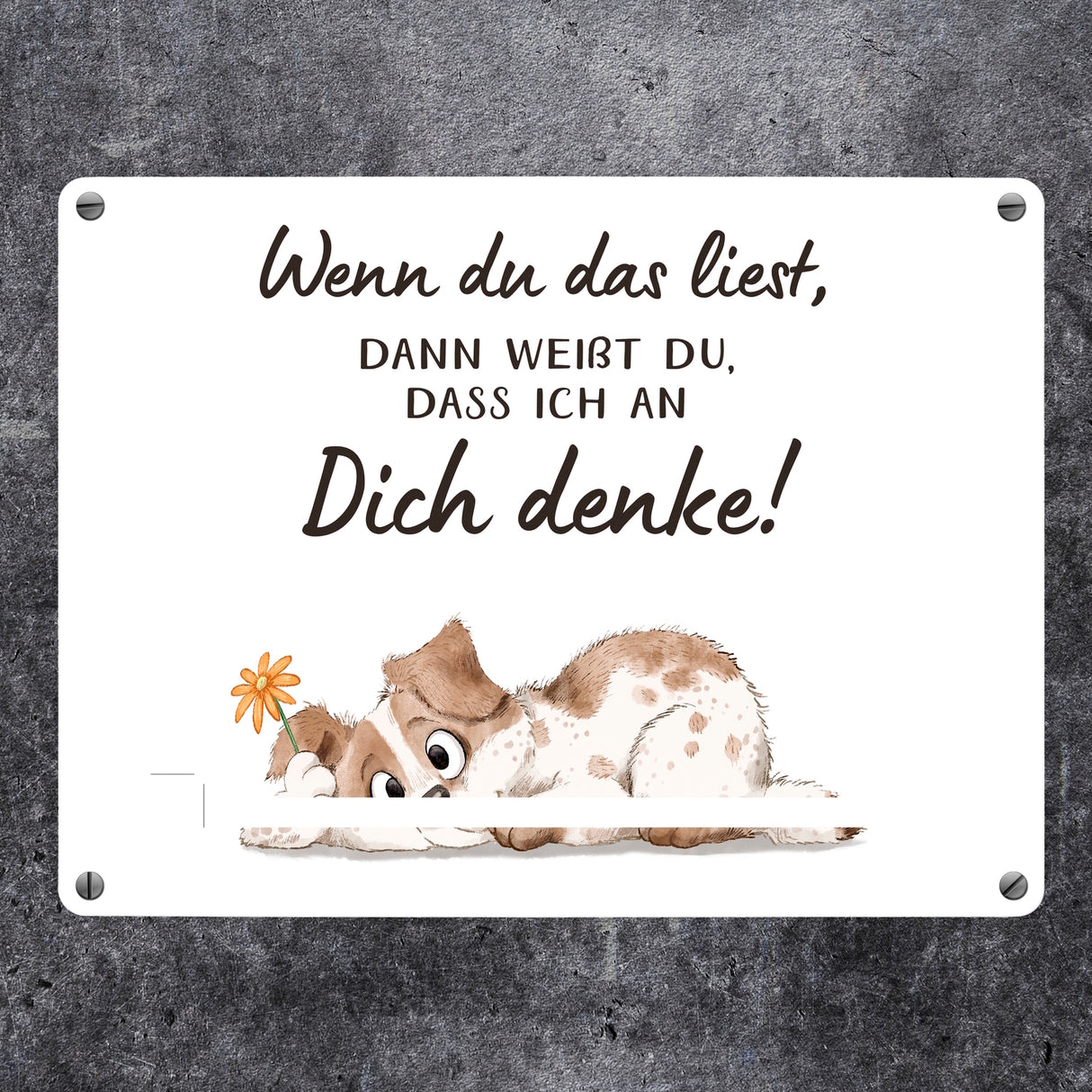 Hund Metallschild in 15x20 cm mit Spruch Ich denke an dich