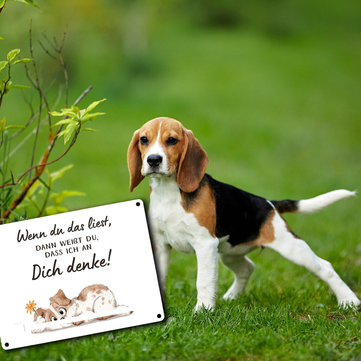 Hund Metallschild in 15x20 cm mit Spruch Ich denke an dich