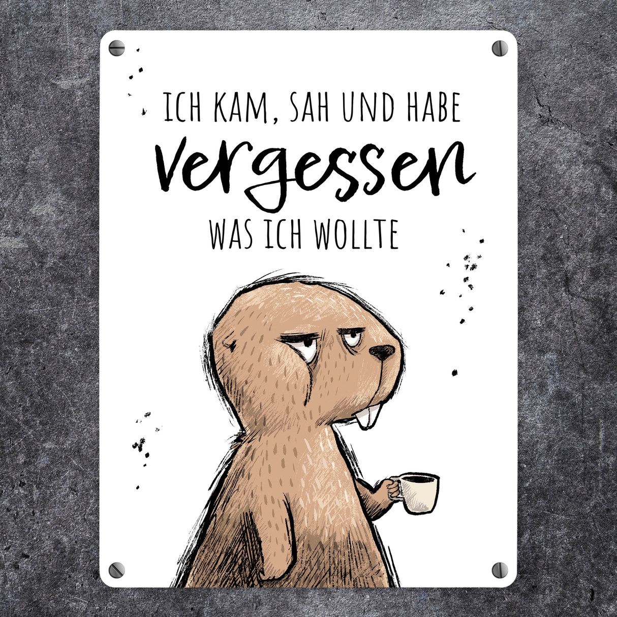 Biber Metallschild in 15x20 cm mit Spruch Kam, sah, habe vergessen