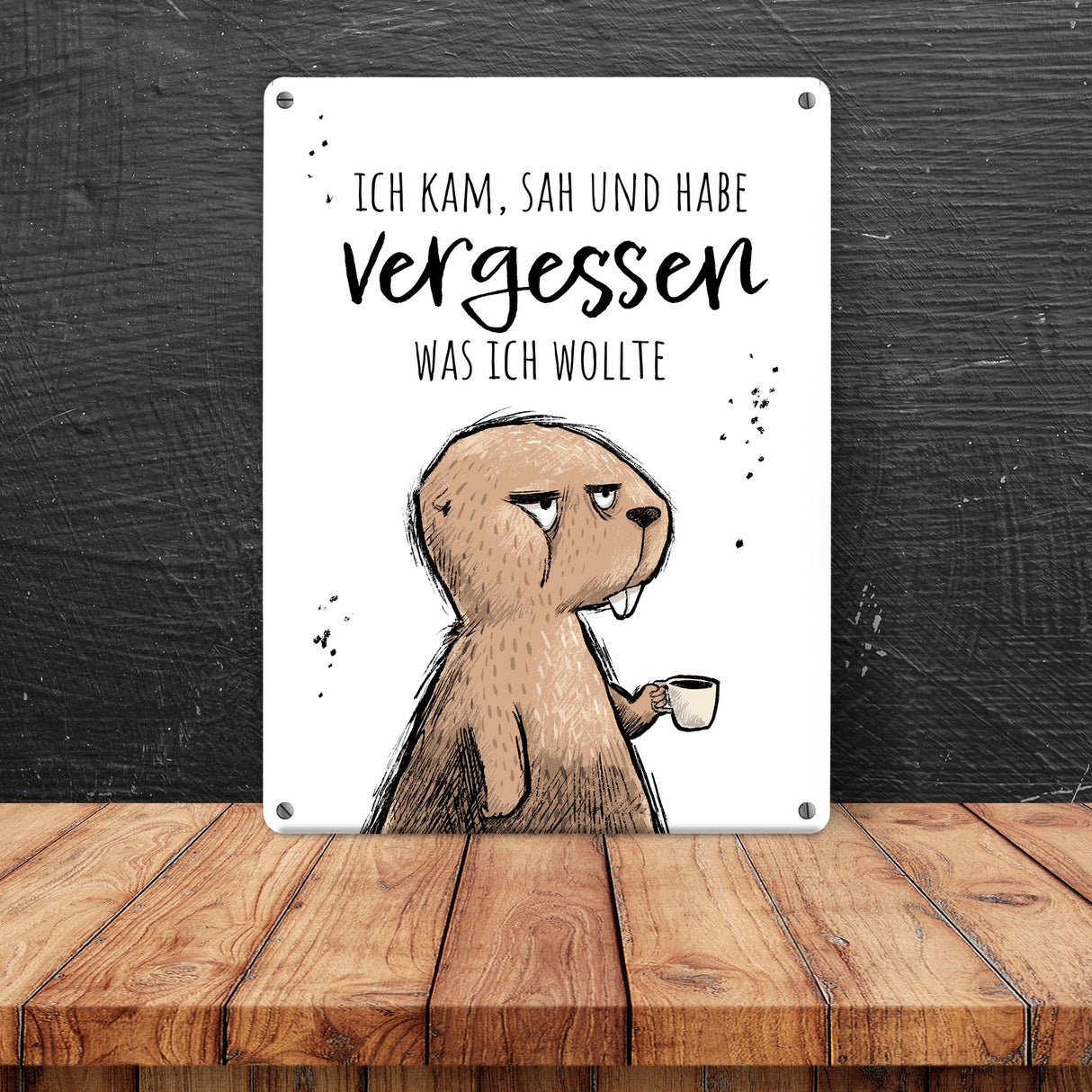 Biber Metallschild in 15x20 cm mit Spruch Kam, sah, habe vergessen