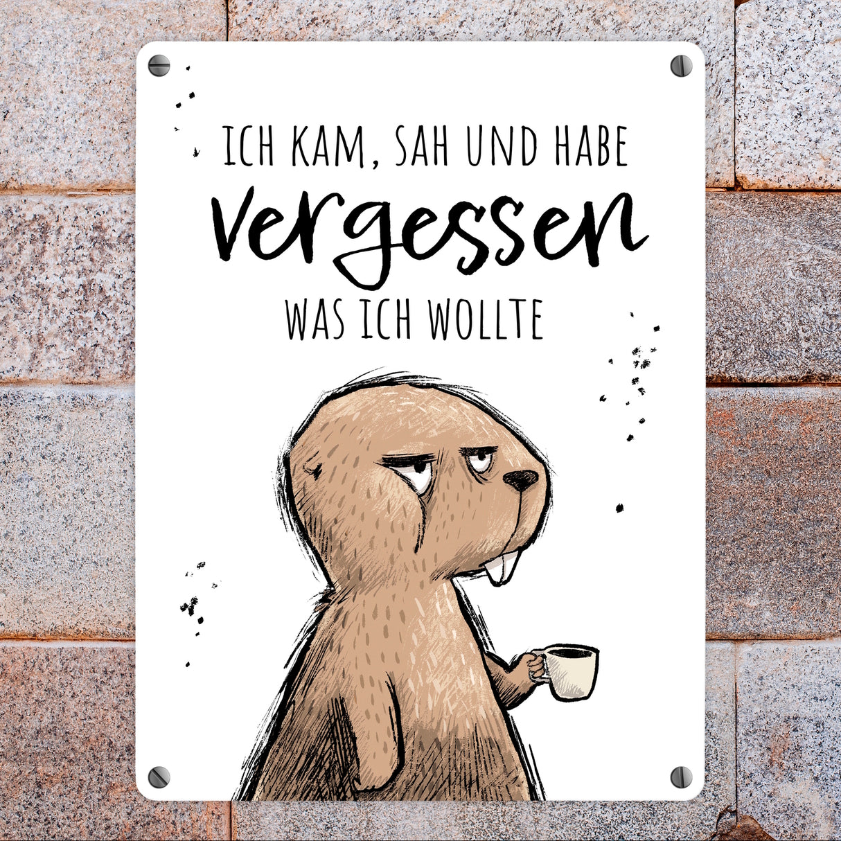 Biber Metallschild in 15x20 cm mit Spruch Kam, sah, habe vergessen