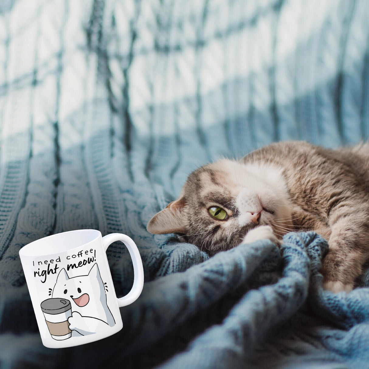 Katze Kaffeebecher mit Spruch I need coffee right meow