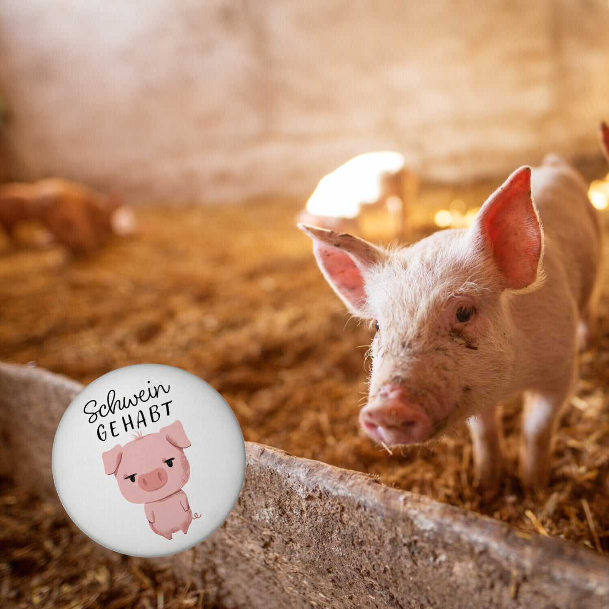 Ferkel Magnet rund rund mit Spruch Schwein gehabt